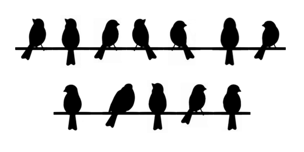 Vista previa del alfabeto Birds on a Wire